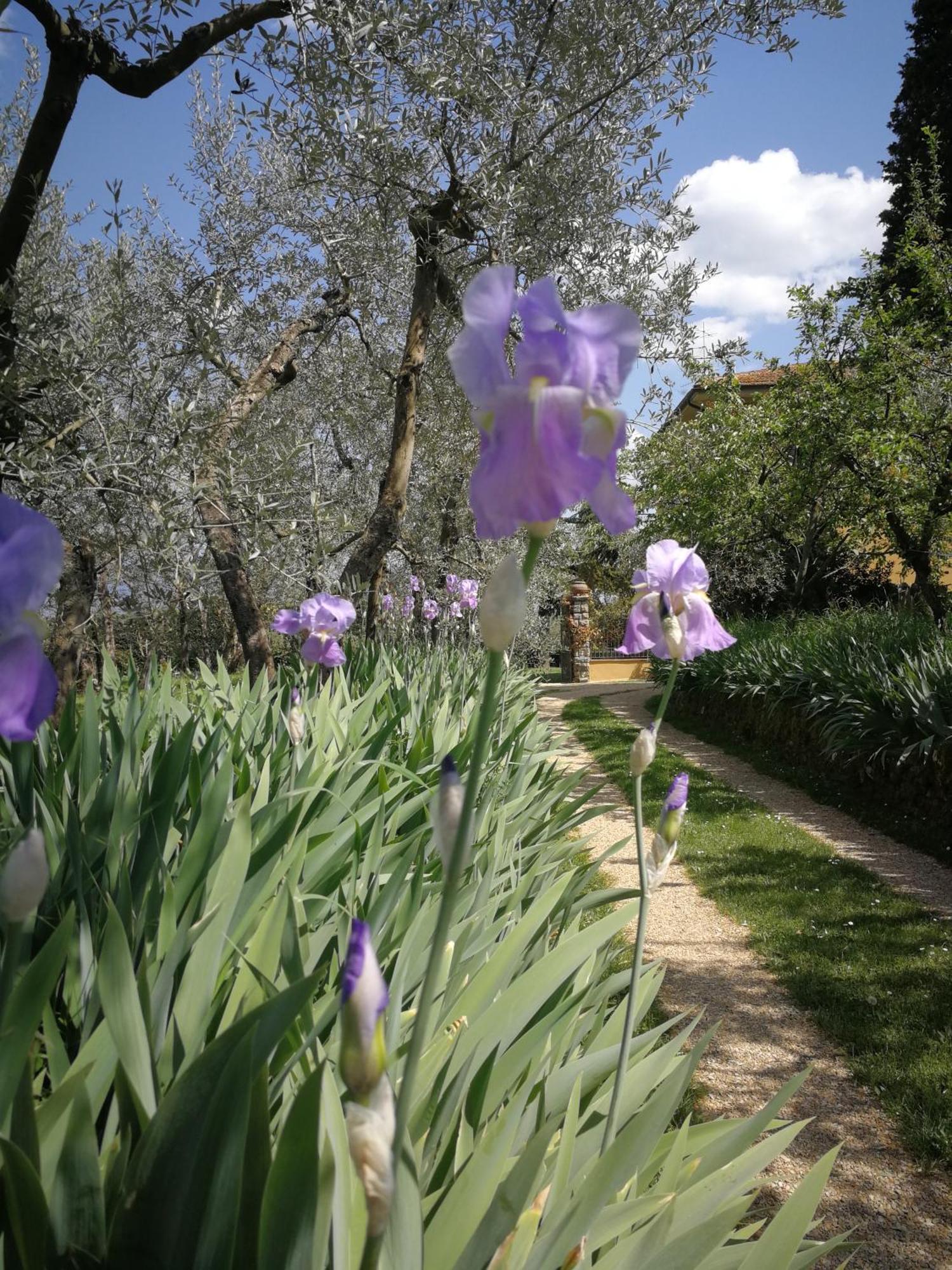 Podere San Giusto Figline Valdarno Kültér fotó